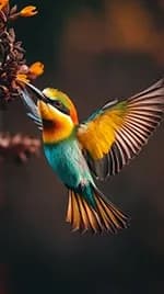 oiseau 03